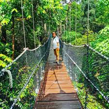 We are a tour operator peru, inca jungle trail to machu picchu. 8 Easy Jungle Treks In Malaysia 2017 Guide Tripfez Muslim Travel