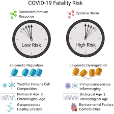 02.12.2020 · fatigue can result from many conditions — such as fibromyalgia or sleep apnea — or lifestyle factors — such as alcohol use or medication side effects. Aging Why Does Covid 19 Disproportionately Affect Older People Full Text