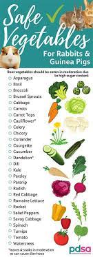 The greens, which are the stems and leaves, are safe for bunnies to consume. Safe Vegetables For Rabbits And Guinea Pigs Pdsa