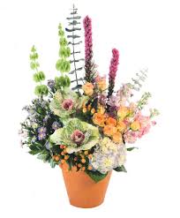Laurinburg is a city in and the county seat of scotland county, north carolina, united states. D2r852zfce0fc4 Cloudfront Net Flowerdatabase S Sou