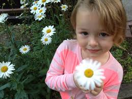 Kids' day at permaculture garden with games and activities