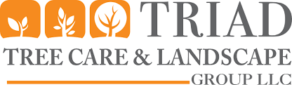 Triad precision landscaping is a full service commercial and residential landscaping provider serving the piedmont triad and surrounding areas of north carolina. Triad Landscape Tree Care Landscape Group