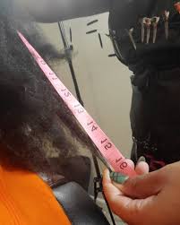 HER LOCS HAIR STUDIO (@_herlocshairstudio_) • Instagram photos and videos