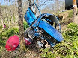 Cara hilangkan kesan getah pada kereta. Tiga Maut Kereta Rempuh Pokok Getah