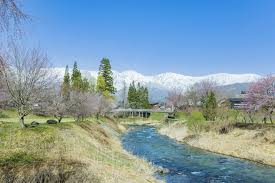 白馬 村 大 出 公園