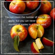 You Can Count The Number Of Seeds In An Apple But You Can Never Count The Number Of Apples In A Single Seed Apple Quotes Apple Seed Quotes