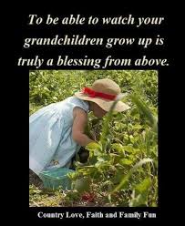 Growing up too fast quotes grown daughter inspirational growing up quotes daughter graduation quotes friendship mother daughter quotes grow up quotes for adults short quotes about growing up quotes about my daughter explore more like daughter growing up quotes. They Just Grow Up Too Fast Quotes About Grandchildren Grandmothers Love Grandparents Quotes
