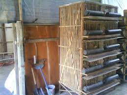 Burung puyuh adalah sebuah unggas darat berukuran kecil tapi sedikit agak gemuk. Model Kandang Burung Puyuh Petelur Serba Bambu Ariefmas S Weblog
