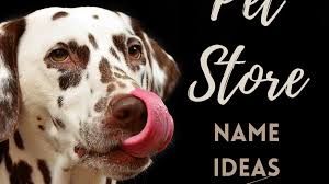 High to low nearest first. 50 Pet Store Names Toughnickel Money