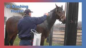 The l10 is capable of reaching temperatures between 50 to 140 degrees fahrenheit. Insta Hot Equine Portable Washing System Youtube
