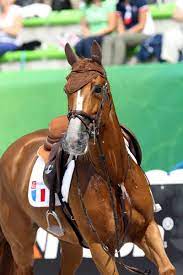 Des équipements textiles, des vêtements pour le concours et pour les écuries: Video La Chute De Penelope Leprevost Cheval Magazine