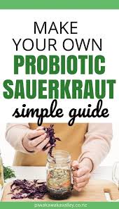 Make Your Own Probiotics At Home And Save Guide To Sauerkraut Recipe In 2020 Probiotics Sauerkraut Fermentation Recipes