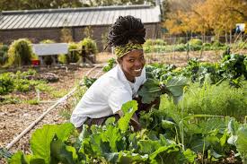 Family farm & garden address and contact address: Shoppe Black S List Of Black Owned Farms Food Gardens Agritecture