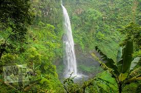 Curug cipendok memiliki ketinggian sekitar 93 m dan masuk dalam wilayah perhutani kesatuan pemangkuan hutan (kph) banyumas timur. Maw Mblusuk Bersakit Sakit Ria Ke Curug Cipendok