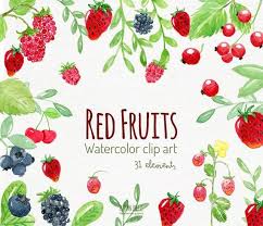 Watercolor Fruits Fruits Clipart Fruits Clip Art Strawberry Blueberry Raspberry Watercolor Clipart Berry Watercolour Berry Clipart Watercolor Fruit Fruit Clipart Clip Art