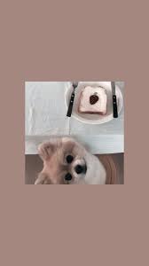 Pin By Teddybrot On Aesthetic Wallpapers Cute Dog Wallpaper Dog Wallpaper Iphone Dog Wallpaper