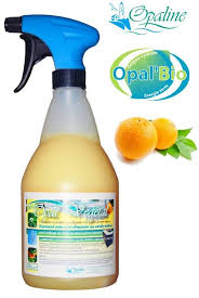 Nettoyant Degraissant Multi Surfaces Ecologique Alimentaire Vegetal Aux Agrumes D Oranges Pour Toutes Surfaces Netto Degraissant Nettoyage Terrasse Nettoyant