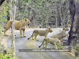 Sanjay Gandhi National Park - 5 places ...
