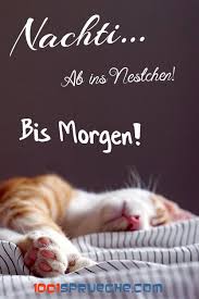 Guten Nacht 49 Bilder Fur Mein Schatz Lustig 2019 Gute Nacht Bilder Gute Nacht Gute Nacht Schatz