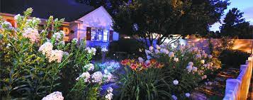 The 5 inch blossoms have edges and centers brushed in yellow. Moon Gardens Are A Popular Way To Relax Outdoors At Night Wsj