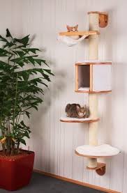 Arbre A Chat Mural Dolomit Avec Images Arbre A Chat Jeux Pour Chat Etagere Pour Chat