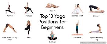 Beginner Yoga Chiang Mai Jpg 1106 454 Yoga Positions For Beginners Yoga Poses For Beginners Yoga For Beginners