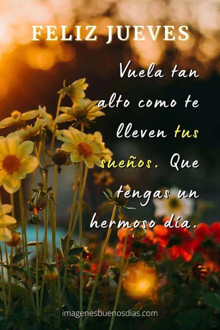 Buenos dias jueves frases &raquo; Imágenes Buenos Días
