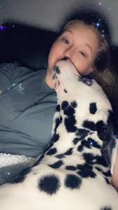 Tell me you have a dalmatian without telling me you have one...🤣