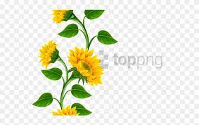 Free Png Sunflower Frame Png Png Image With Transparent Sunflower Corner Border Png Png Download 850x447 4617231 Pngfind