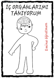 Emine Ogretmen Vucut Kesimleri Okuma Eminem