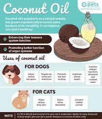 In some recipes coconut oil is used to thicken lotions and creams. Is Coconut Oil Good For Dogs And Cats
