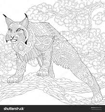 Stylized Hunting Wildcat Lynx Bobcat Ready To Attack Freehand Sketch For Adult Anti Stress Colori Animal Coloring Pages Adult Coloring Pages Coloring Books