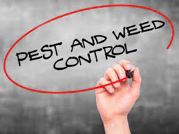Most people turn to a pest control company as soon as they detect a pest infestation in their home. Diy Do It Yourself Pest And Weed 972 769 7378