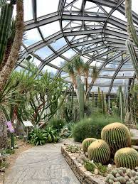 Desert botanical garden is home to thousands of species of cactus, trees and flowers from all around the world spread across 55 acres in phoenix, arizona. Botanischer Garten Und Botanisches Museum Berlin Startseite Facebook