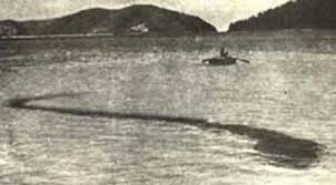 Hook Island Sea Monster