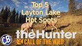 You can find more or less dense populations of wild boar in the stockholm area and all the way down to skåne. Top 5 Animal Hot Spots Layton Lakes Thehunter Call Of The Wild Youtube