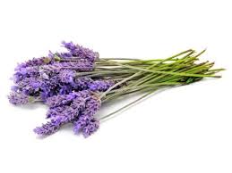 Also, dried lavender is attractive and decorative. Herb Of The Month Lavender Food Network Healthy Eats Recipes Ideas And Food News Food Network