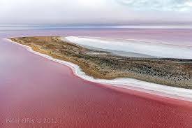 Water Coloured By Pink Algae Surrounds An Island In Lake Eyre This Rare Transition In Water Colour On Australia Travel Island Lake Amazing Travel Destinations