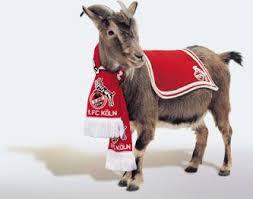 Fc köln amtierte, musste am dienstag eingeschläfert werden. Pin Auf 1 Fc Koln Germany
