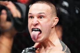 Diana zambrozuski onlyfans Gamer e streamer, criadora de