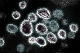 We did not find results for: Who Switches To Greek Alphabet For Coronavirus Variant Names Europe News Top Stories The Straits Times