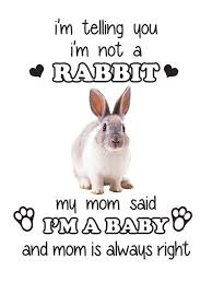I M Telling You I M Not A Rabbit My Mom Said I M A Baby And Mom Is Always Right Bunny Mom Cute Baby Bunnies Bunny