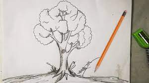 When you draw a tree, especially a coniferous one, notice that many of them usually have one long and high trunk. How To Draw Easy And Simple Tree Sketch For Beginners With Pencil Youtube