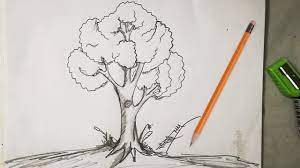 How to draw an easy pine tree? How To Draw Easy And Simple Tree Sketch For Beginners With Pencil Youtube