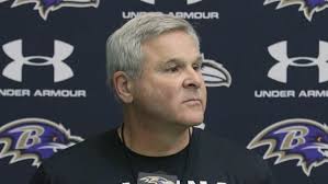 Six assistant coaches for the 2020 NFL season hail from Beaver County