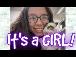 Holly's Hollands Rabbitry