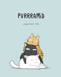 Pin Von Numan Eksi Auf Pawsitively Pawesome Lustige Katzen Katzenhumor Katze Lustig