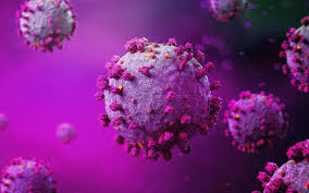 How is the uk handling the new covid strain? Covid 19 Four New Cases In Managed Isolation Two More Linked To Uk Strain Rnz News
