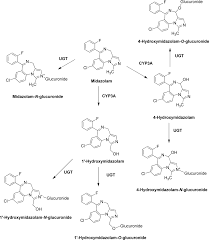 Metabolism Of 1 And 4 Hydroxymidazolam By Glucuronide Conjugation Is Largely Mediated By Udp Glucuronosyltransferases 1a4 2b4 And 2b7 Drug Metabolism Disposition