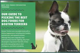 10 best highest quality dog foods for boston terriers in 2019